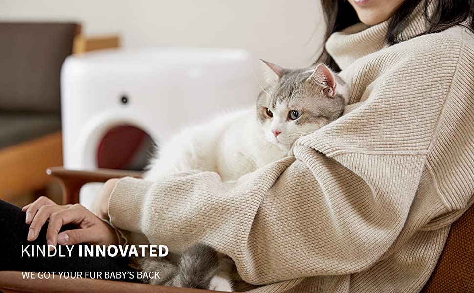 kattenbak met deksel behuizing meubilair bedekt mat automatische zelfreinigende kast hoge kant