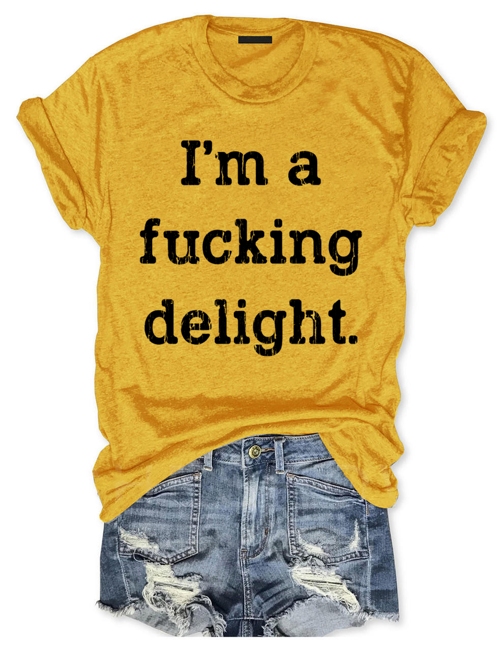 I'm a Fucking Delight T-Shirt