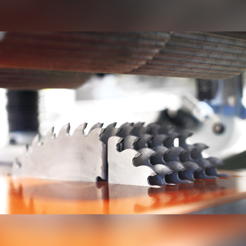 Automatic Bottom Shaft Multi-rip Saw