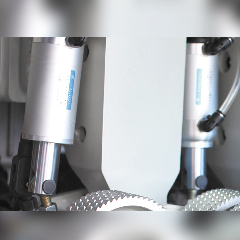 Automatic Bottom Shaft Multi-rip Saw