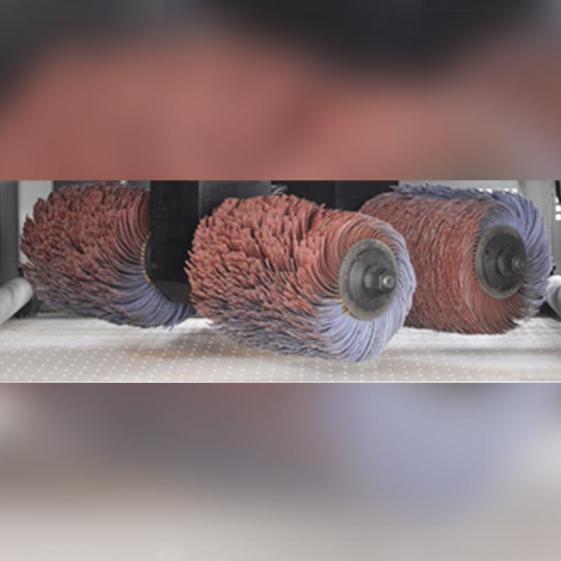 Metal Sanding Machine with STR-W-r Series