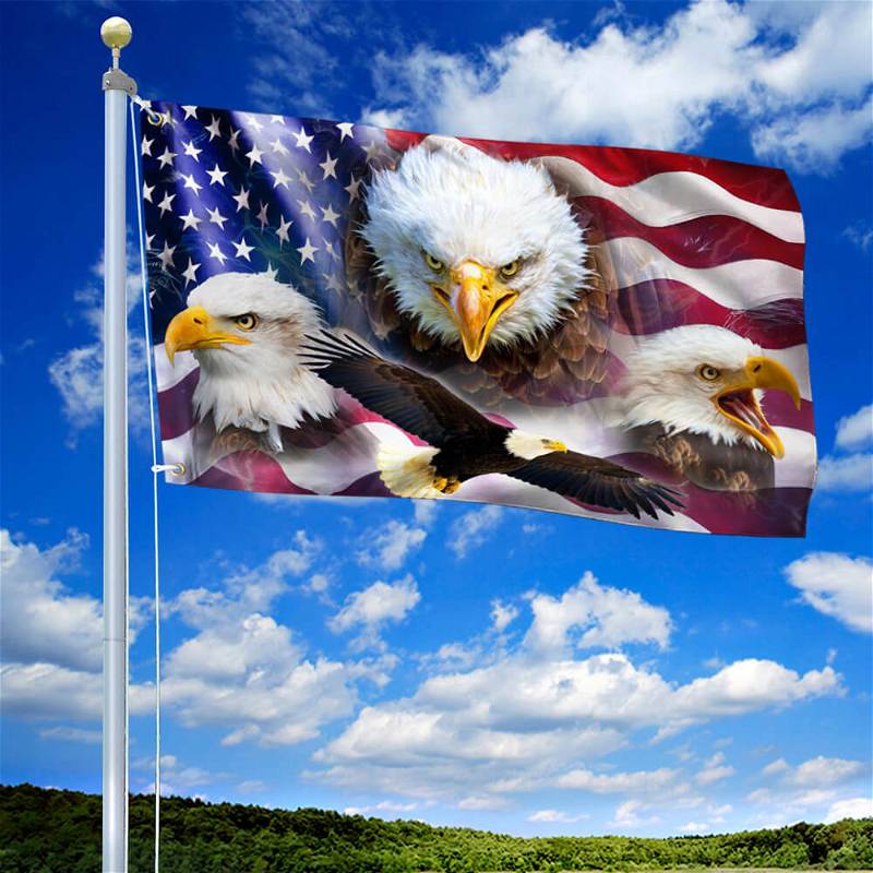 American Eagle Day Grommet Flag BNN171GFCT