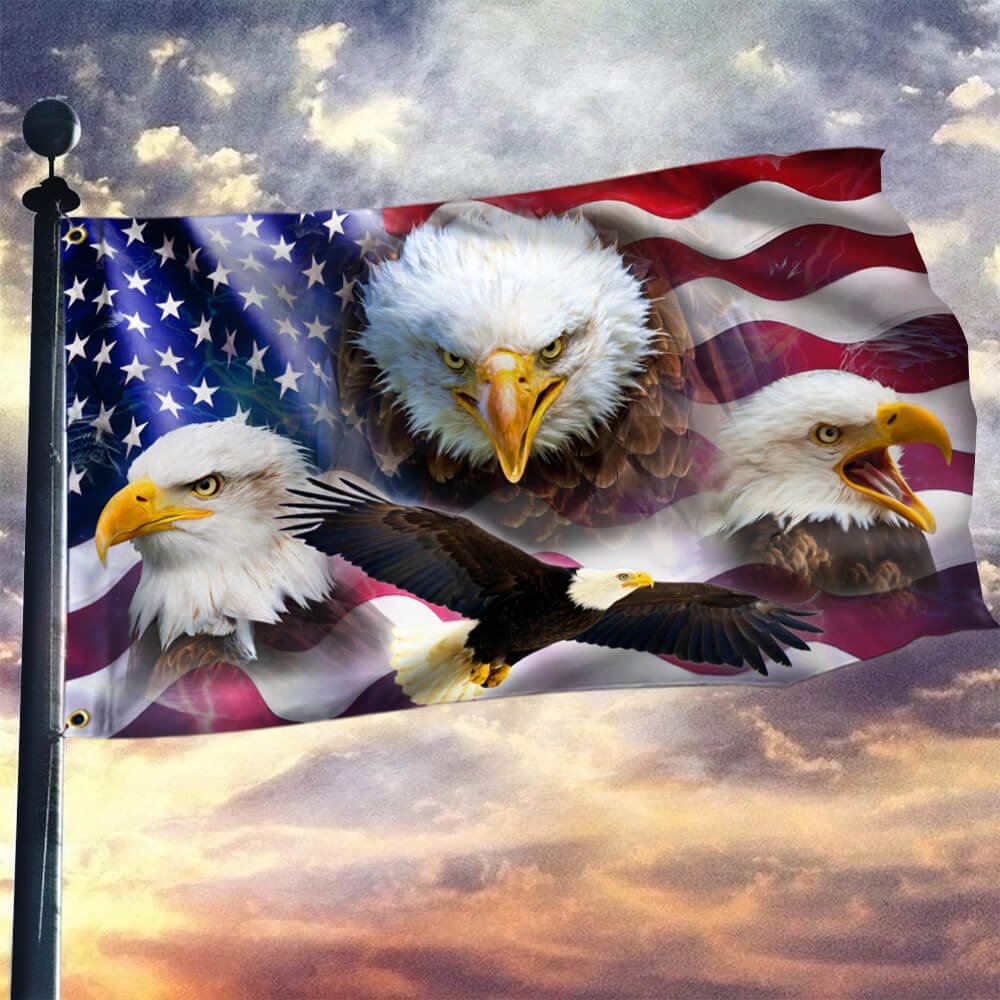 American Eagle Day Grommet Flag BNN171GFCT