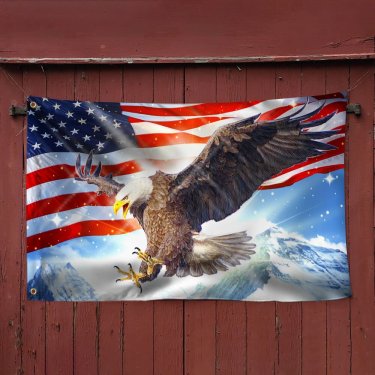 Eagle Light Sky American Grommet Flag