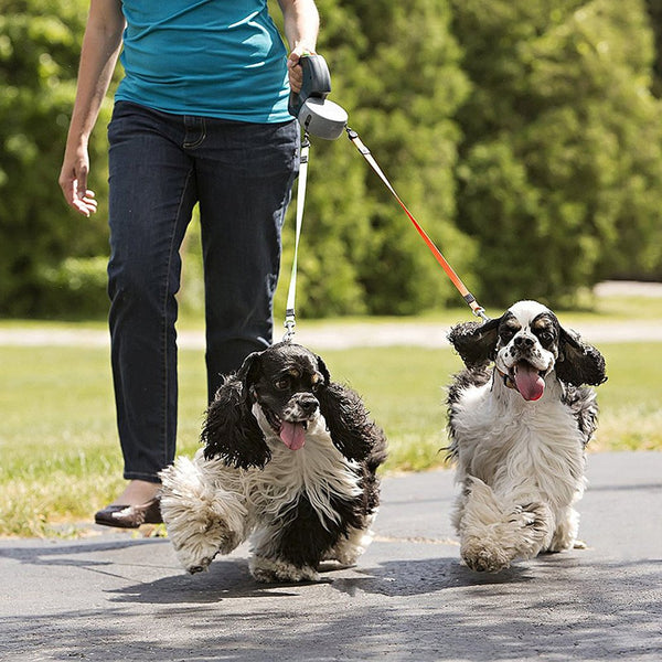 Walker - Retractable Dog Leash