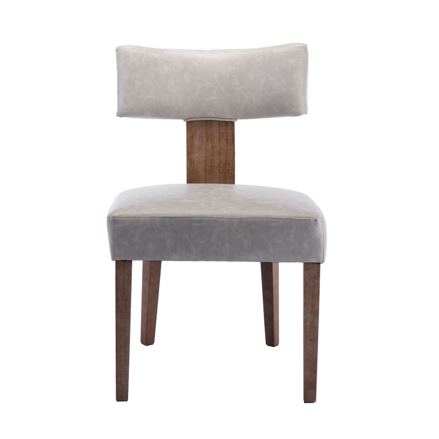 Payson Dining Chairs (Set of 2)