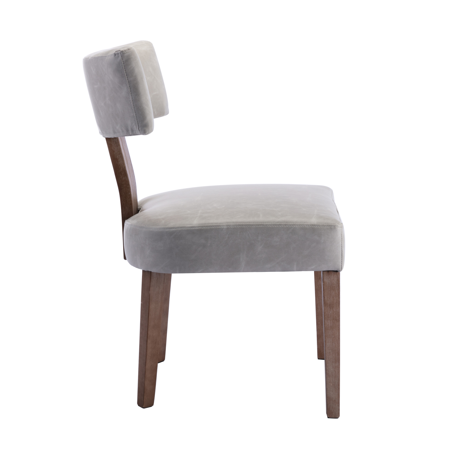 Payson Dining Chairs (Set of 2)