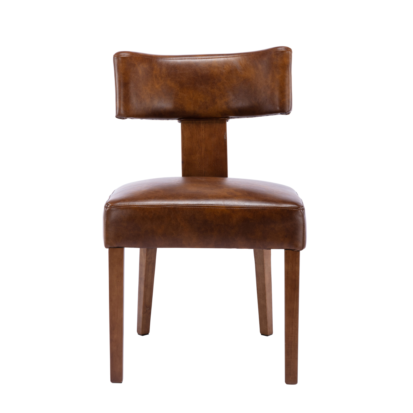 Payson Dining Chairs (Set of 2)