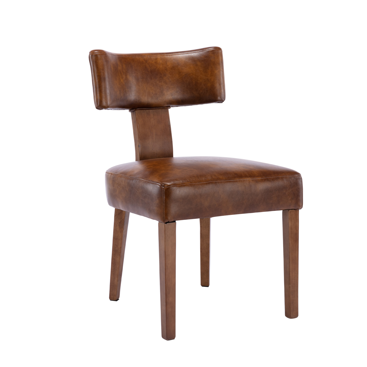 Payson Dining Chairs (Set of 2)