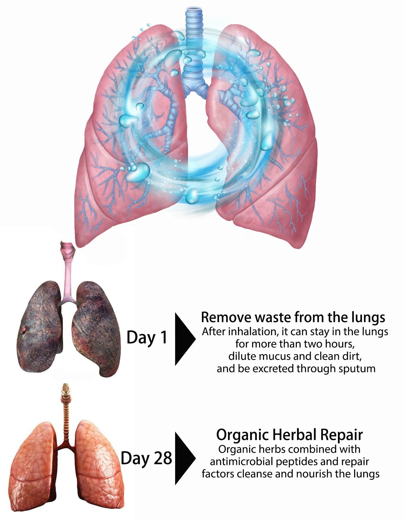 OnNature® Organic Herbal Lung Cleanse & Repair Nasal Spray PRO（Flash Sale Now）
