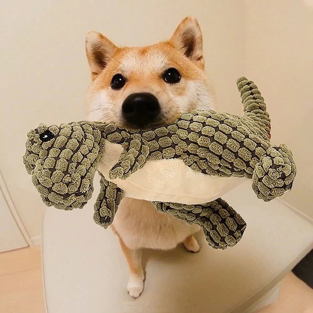 Sale ends in 5 hours / Buy 1 Get 1 Free Today Only - Indestructible Robust Dino - Dog Toy 2.0 Upgrade Version