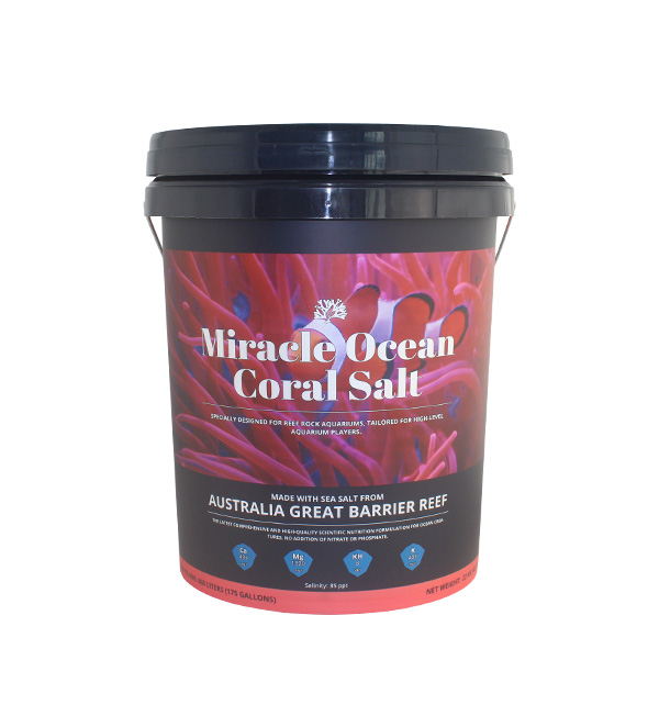 20L Sea Salt Plastic Bucket (IML)