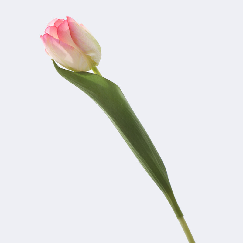 High-end artificial flowers feel moisturizing tulip