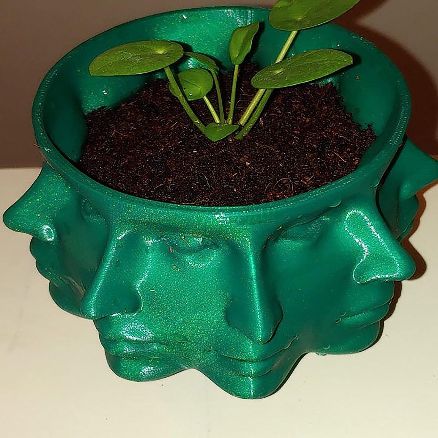 Art Multi Face Succulent Planter
