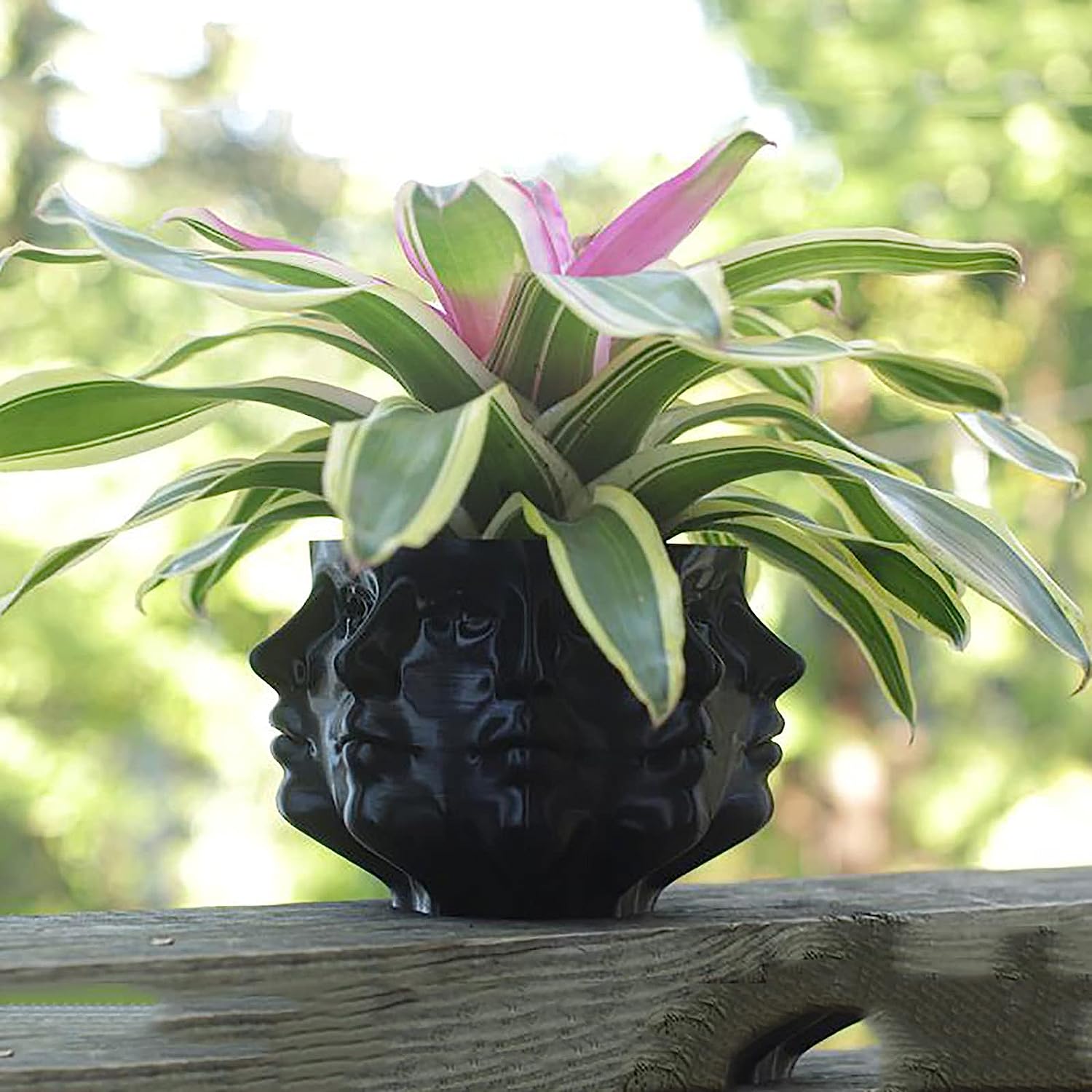 Art Multi Face Succulent Planter