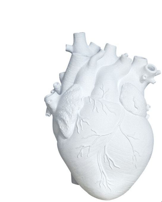 Anatomical Heart Vase