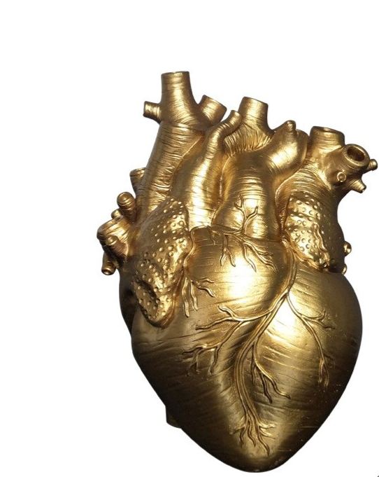 Anatomical Heart Vase
