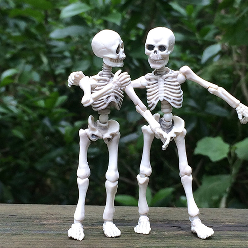 Wholesale 1 Piece Funny Movable Bone Skeleton Mannequin-eebuy