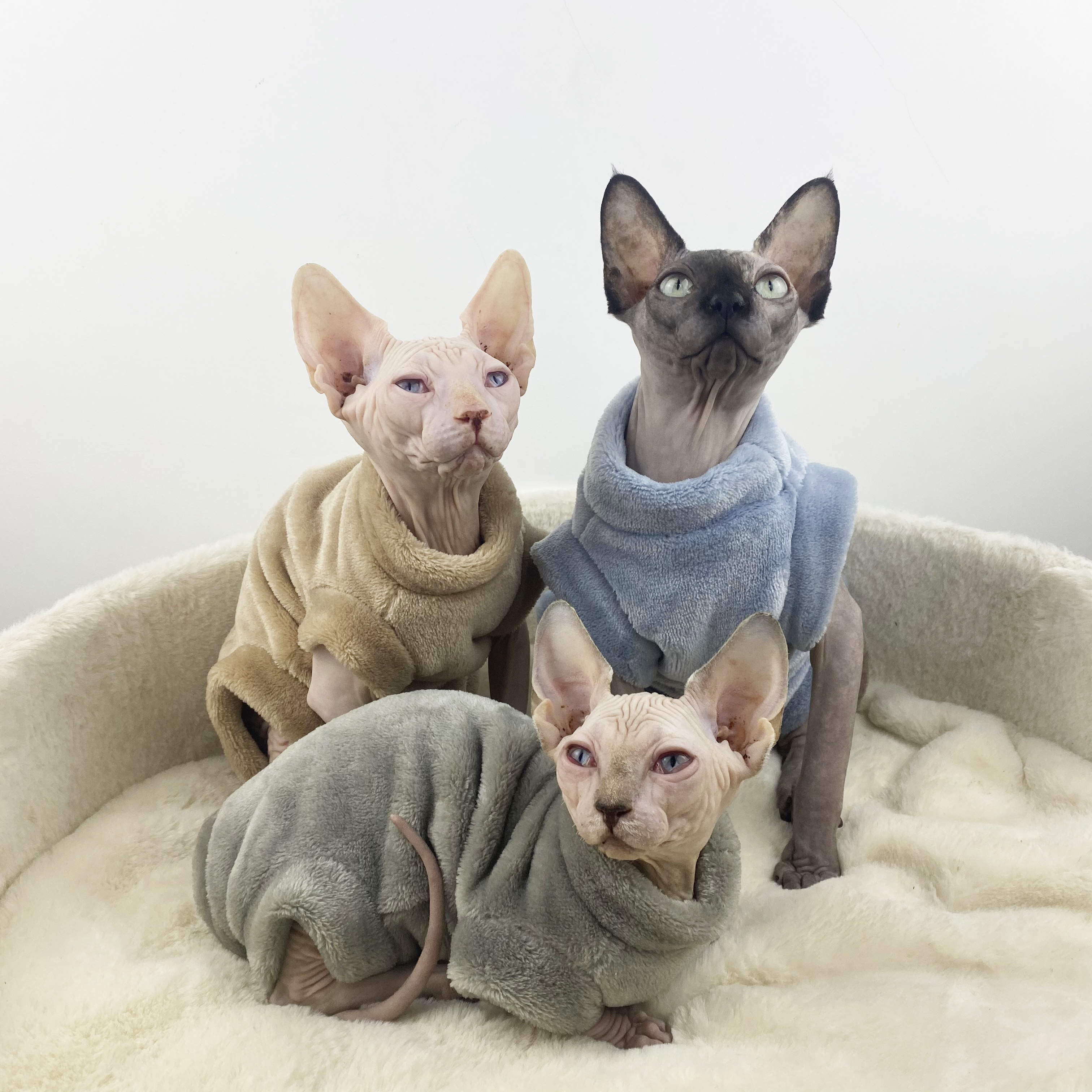 Wholesale Hairless Cat Clothes Flannel Clothes-eebuy