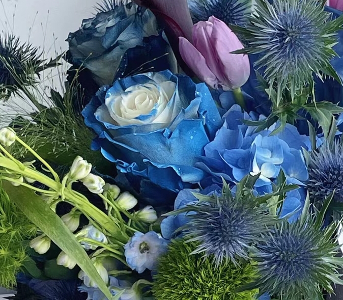 Starry Galaxy Rose - Rare Color