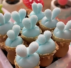 Blue Rabbit Ear Succulent seeds, Rare succulent