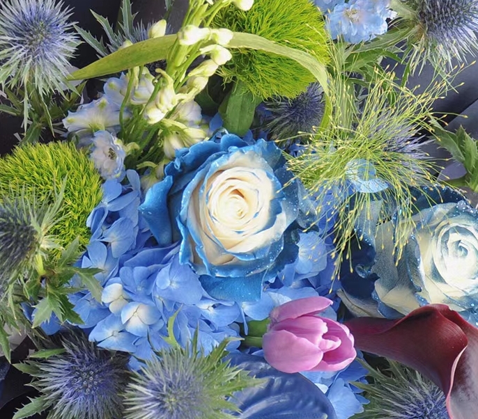 Starry Galaxy Rose - Rare Color