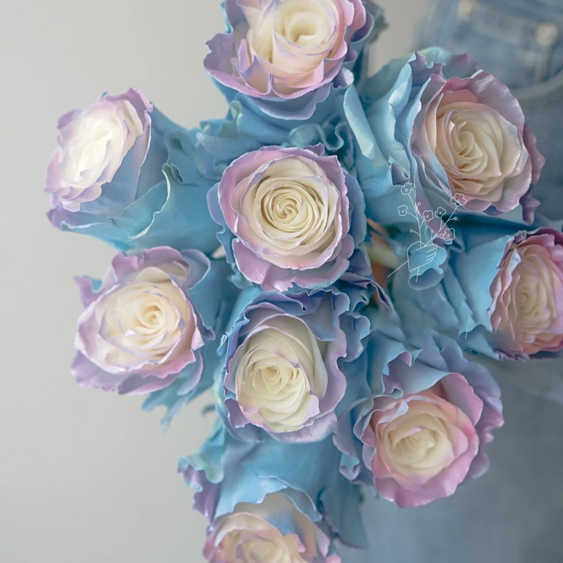 Northern Lights Roses 