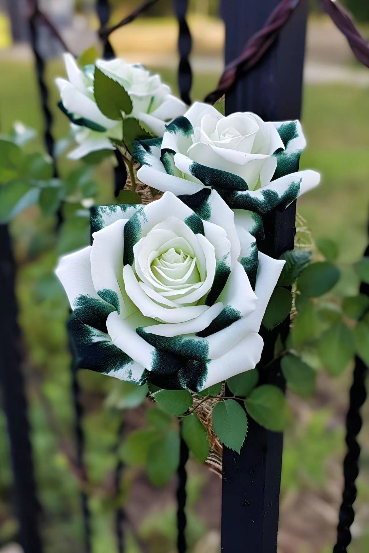 🤍Rare White and Green Twin Roses💚