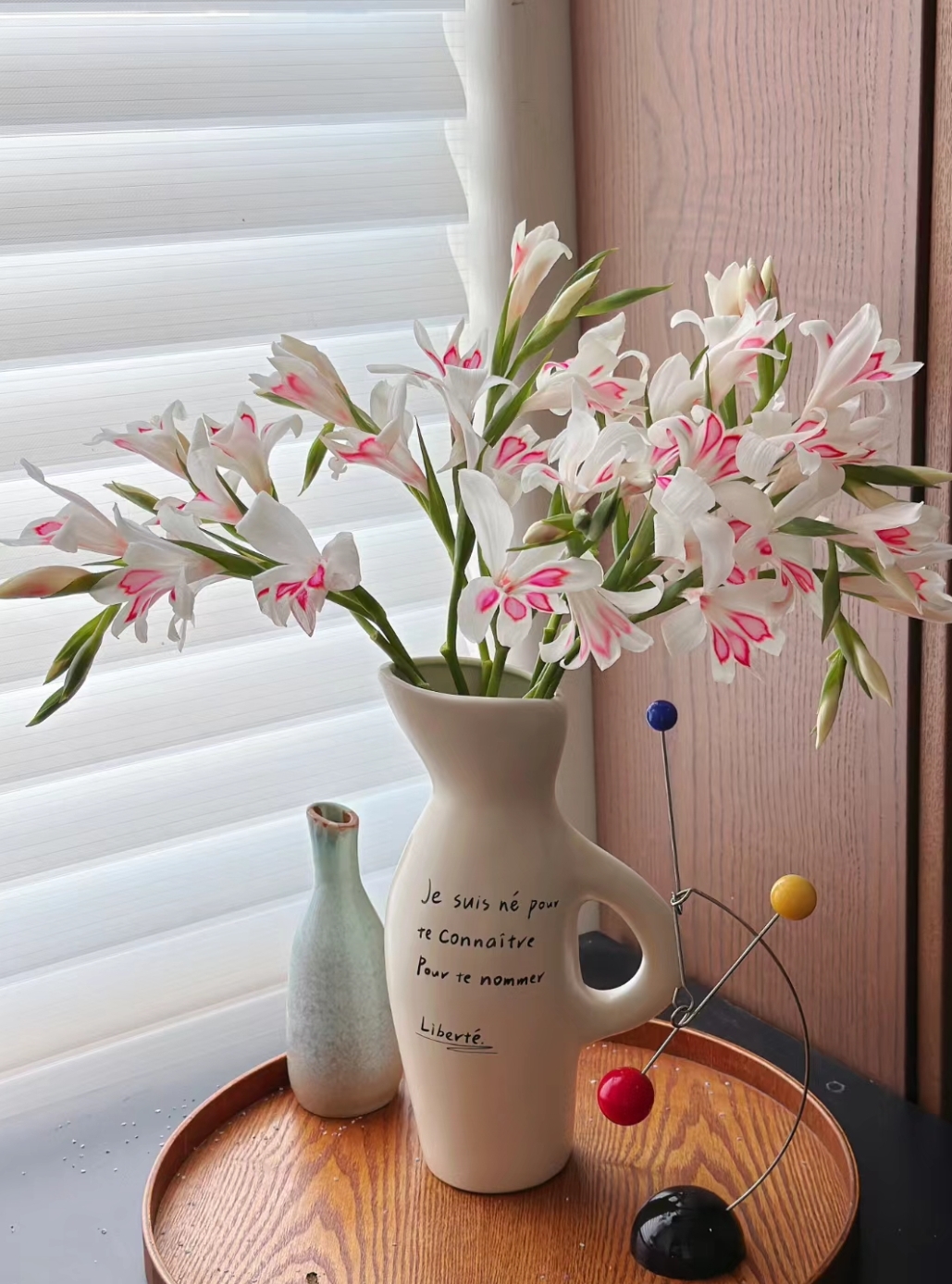 Paw's Gladiolus🌸