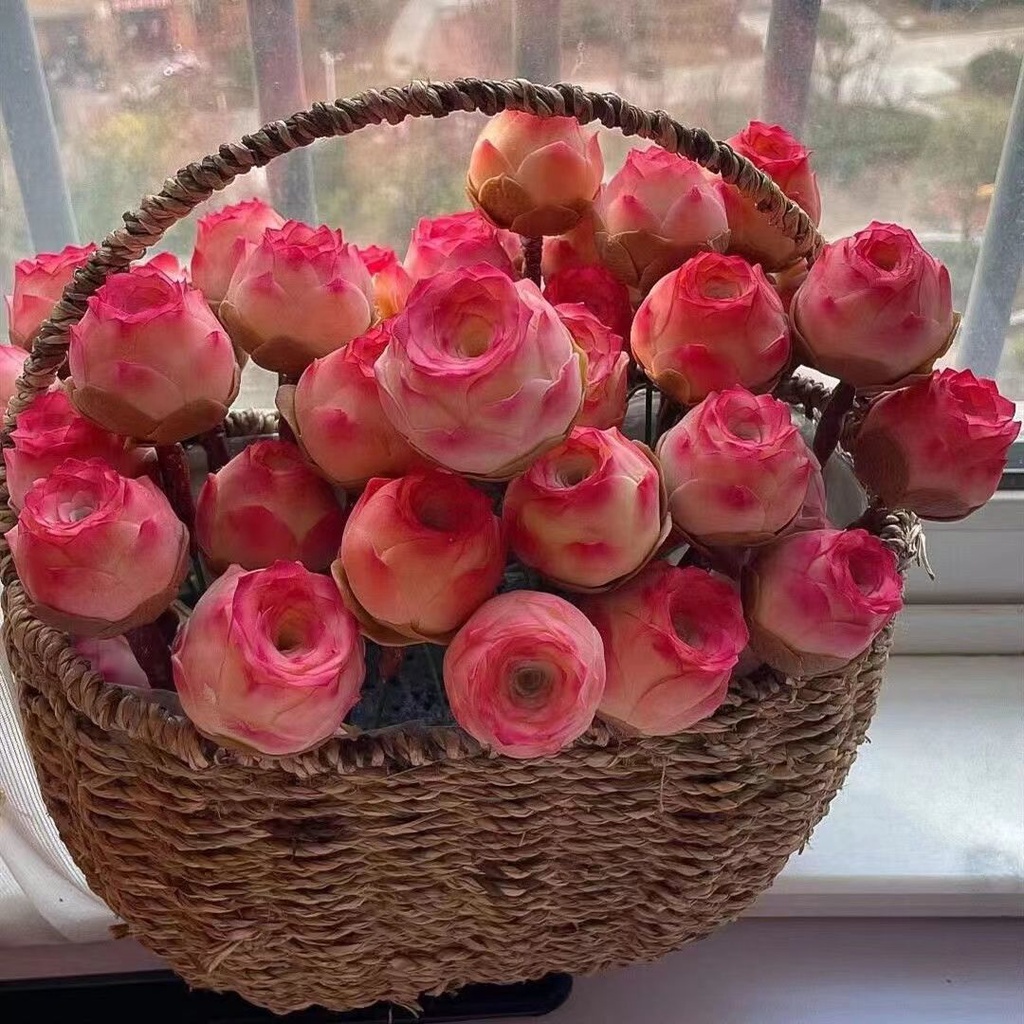 Pink succulent roses Seeds