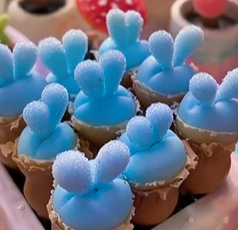Blue Rabbit Ear Succulent seeds, Rare succulent