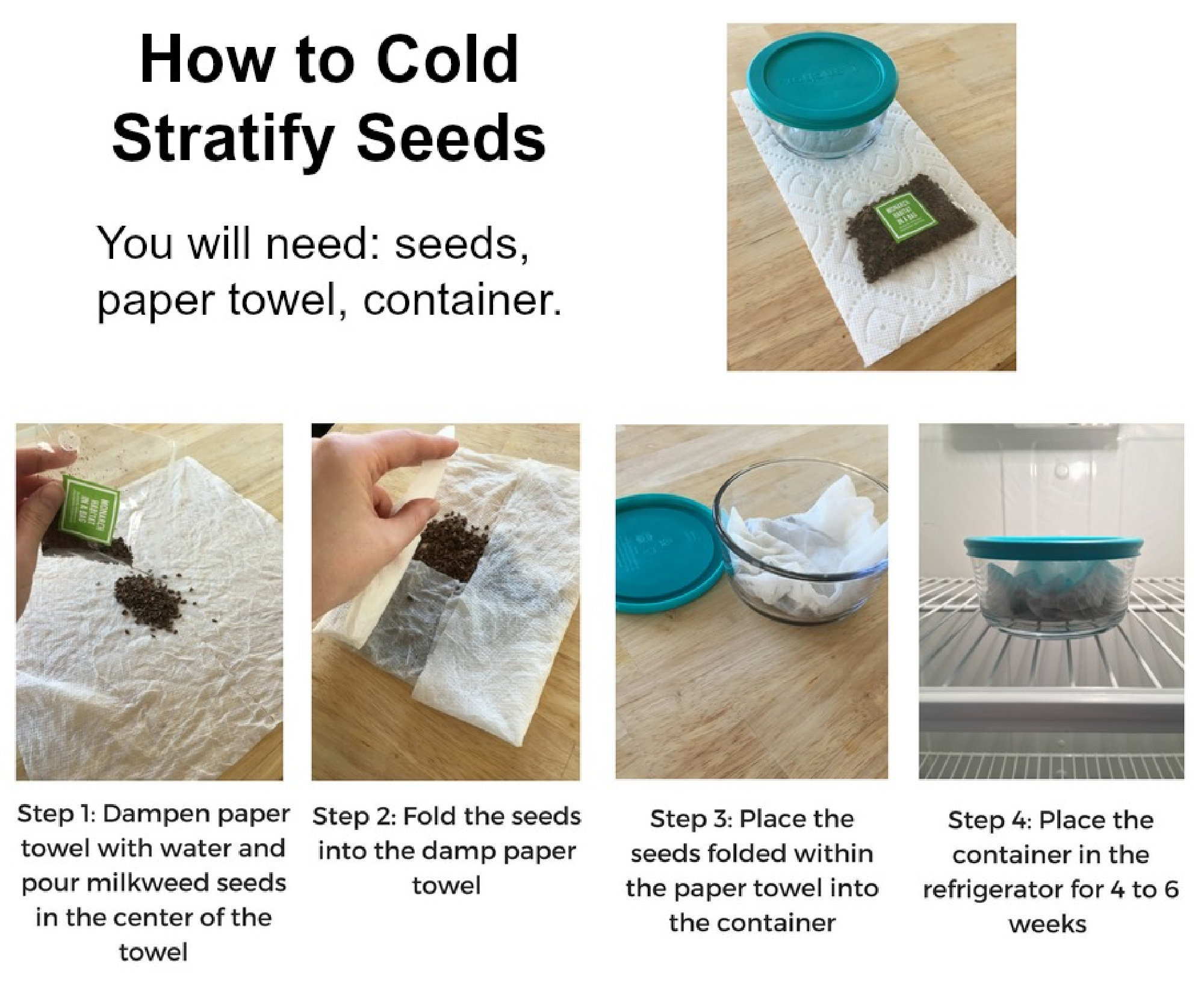 Prairie Blazing Star