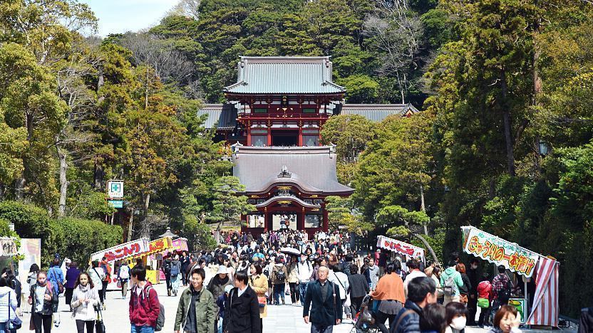 Tsurugaoka Hachimangu Shrine - Kamakura Travel