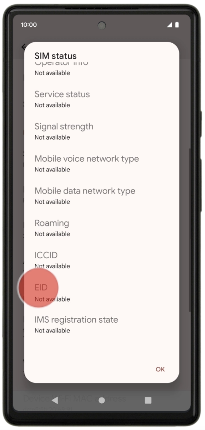 How To Find Your Phone EID And IMEI For ESIM ByteSIM how-to-find-your-phone-eid-and-imei-for-esim-bytesim