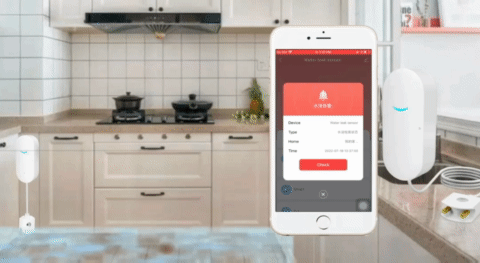 home flood alarm