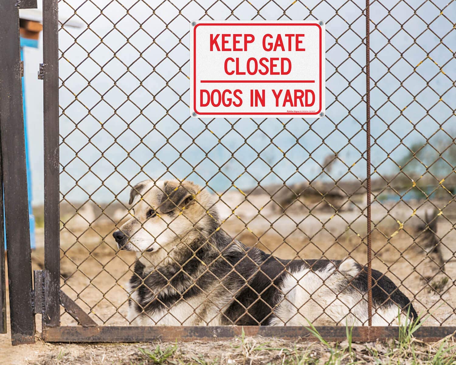(2 pack) Keep Gate Closed Dogs in Yard Sign, 10 x 7 Inches rectangle, .040 Rust Free Aluminum, UV Protected and Waterproof, Weather Resistant, Durable Ink, Easy to Mount