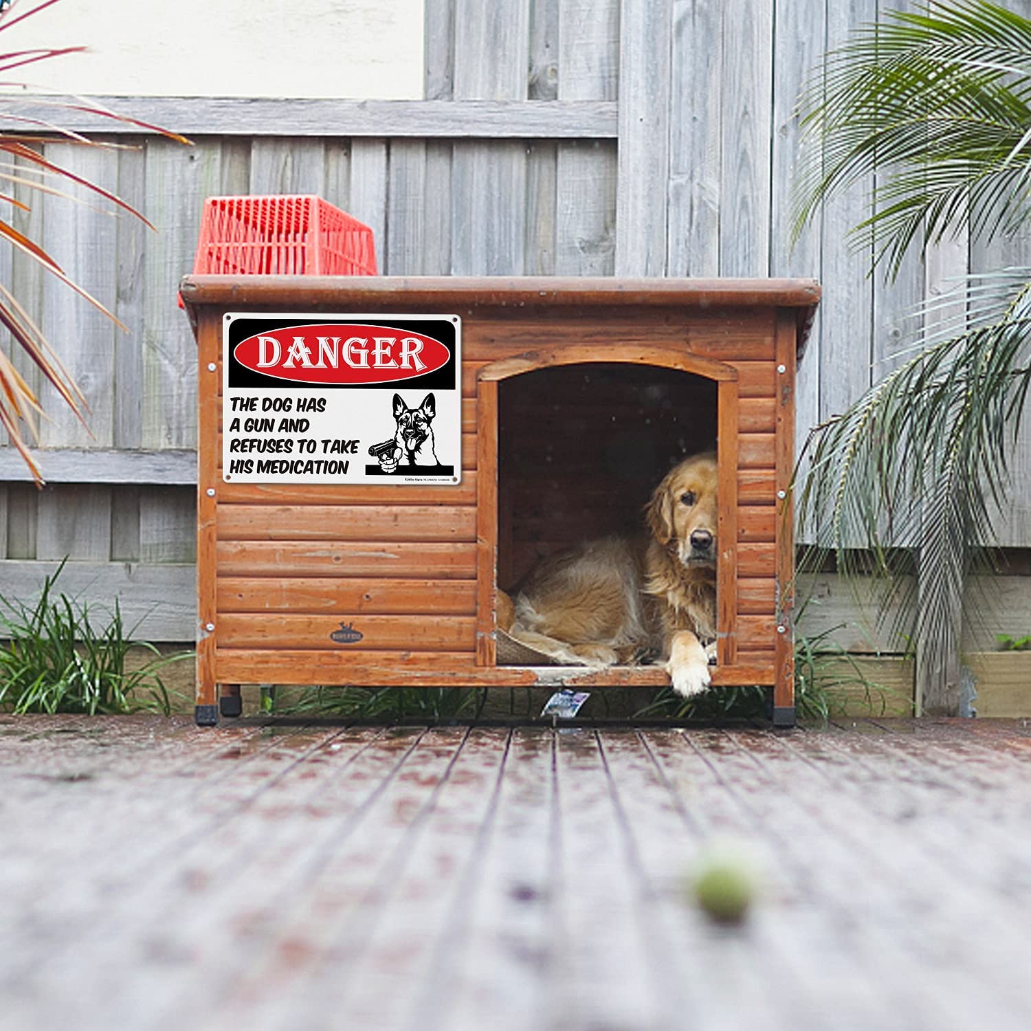 Danger - Dog Has A Gun and Refuses to Take His Medications Sign,Beware of Dog Sign Funny| 14 x 10 In Reflective Aluminum, Weather/Fade Resistant, Easy Mounting, Indoor/Outdoor