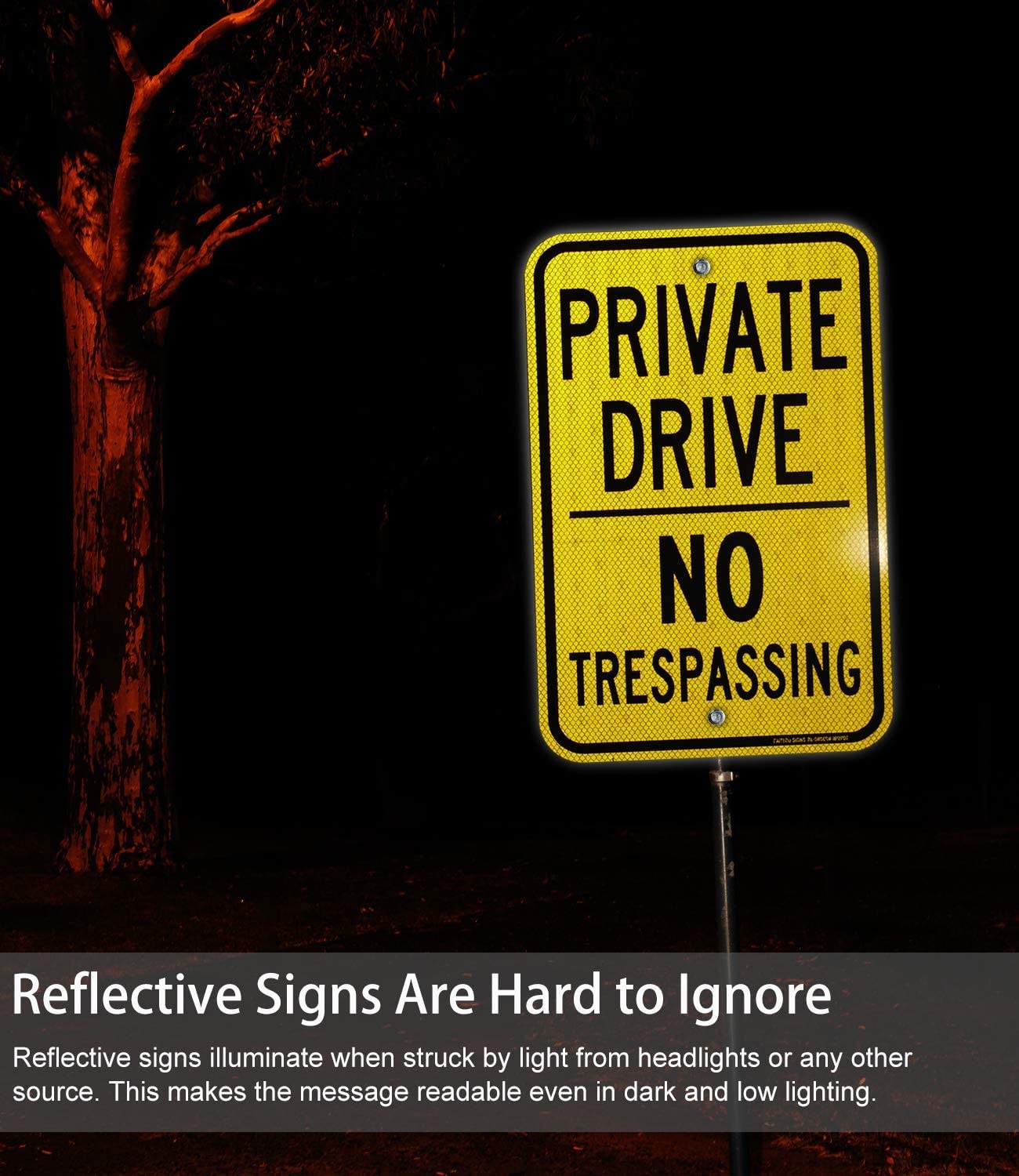 2 Pack Private Drive Sign, 18 x 12 Inches Engineer Grade Reflective Sheeting Rust Free Aluminum, Weather Resistant, Waterproof, Durable Ink, Easy to Mount,Outdoor Use