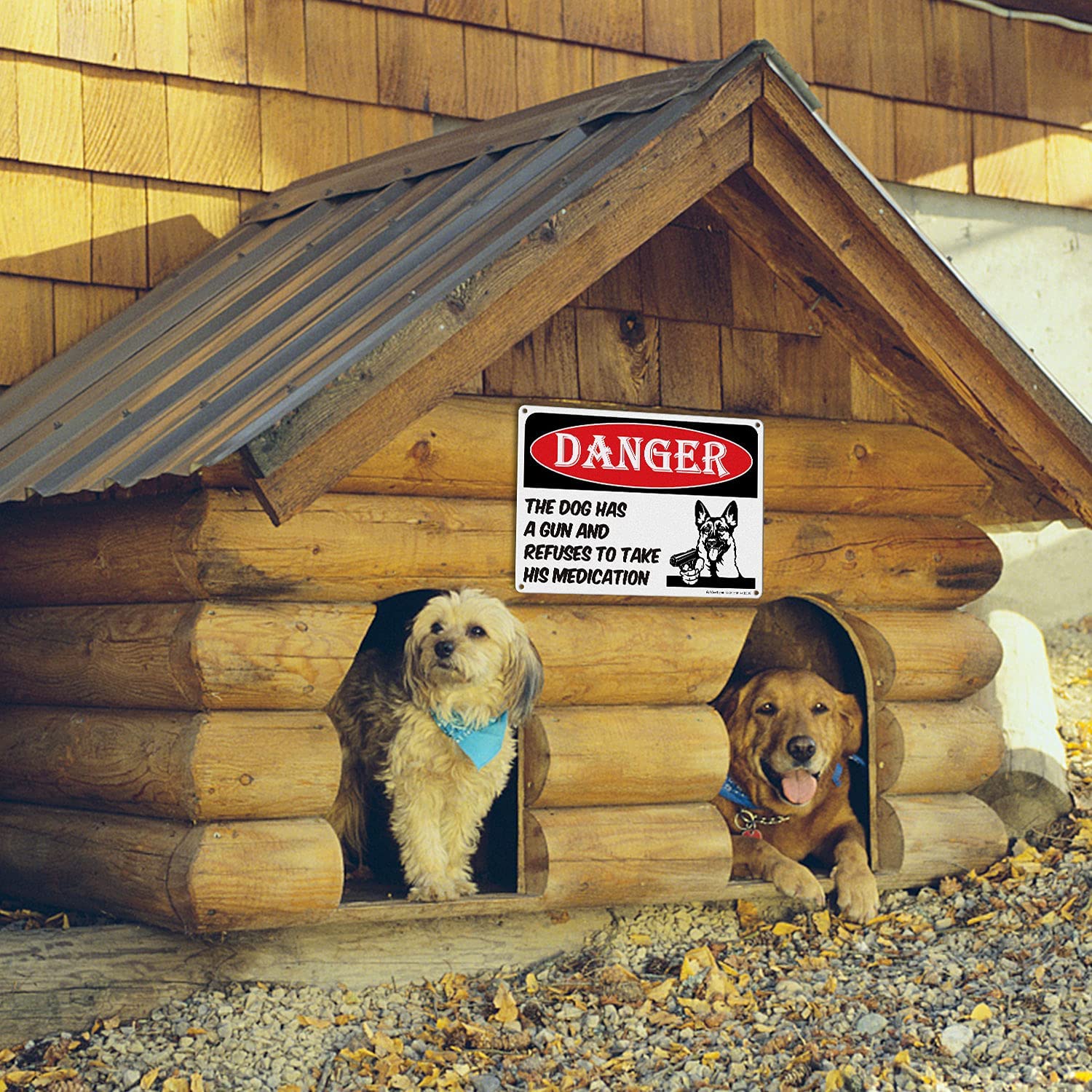 Danger - Dog Has A Gun and Refuses to Take His Medications Sign,Beware of Dog Sign Funny| 14 x 10 In Reflective Aluminum, Weather/Fade Resistant, Easy Mounting, Indoor/Outdoor