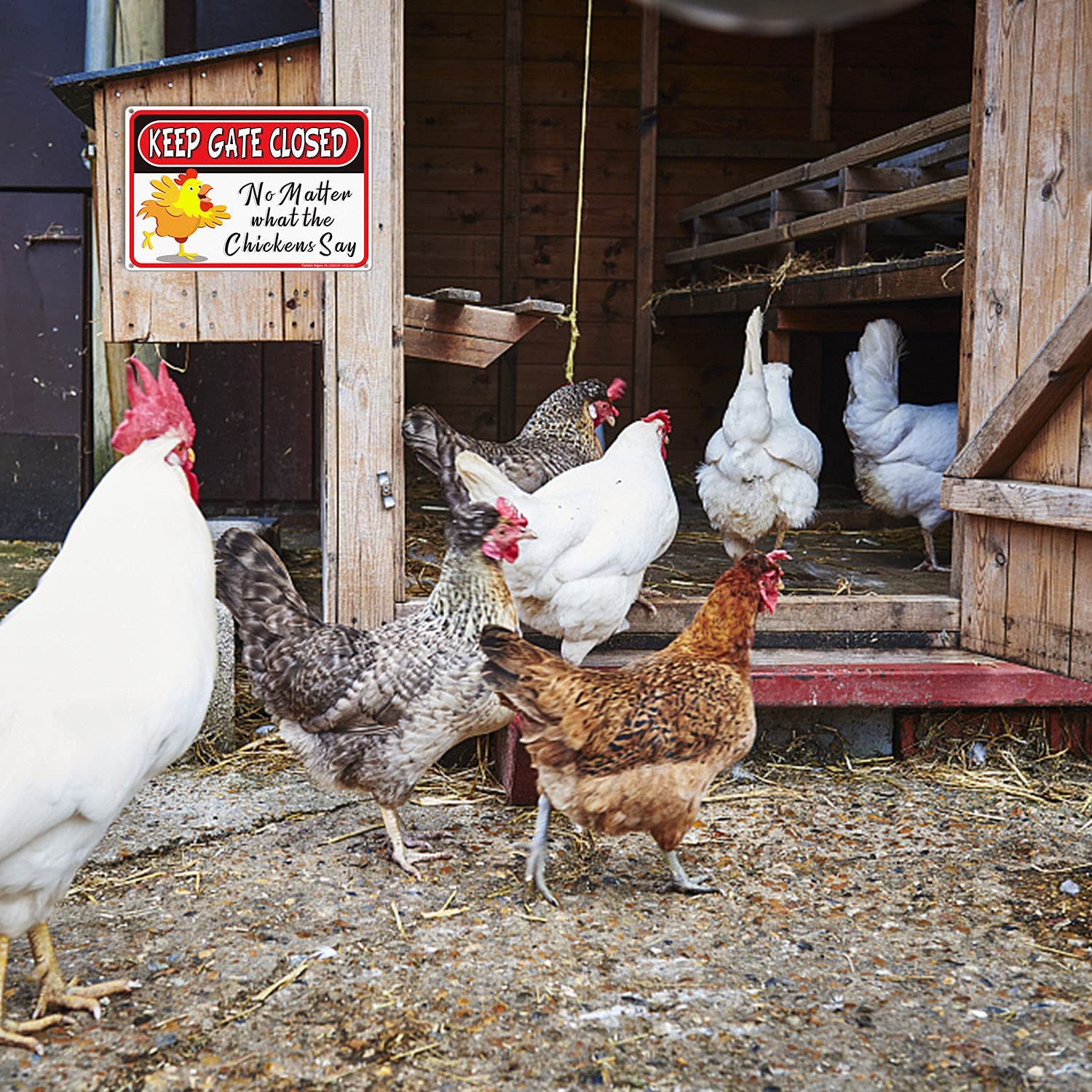 Keep Gate Closed Sign No Matter What the Chickens Say, 8 x 12 Inch Rust Free Aluminum Metal Chicken Decor, Reflective,Fade Resistant,UV Protected, Weatherproof Indoor/Outdoor
