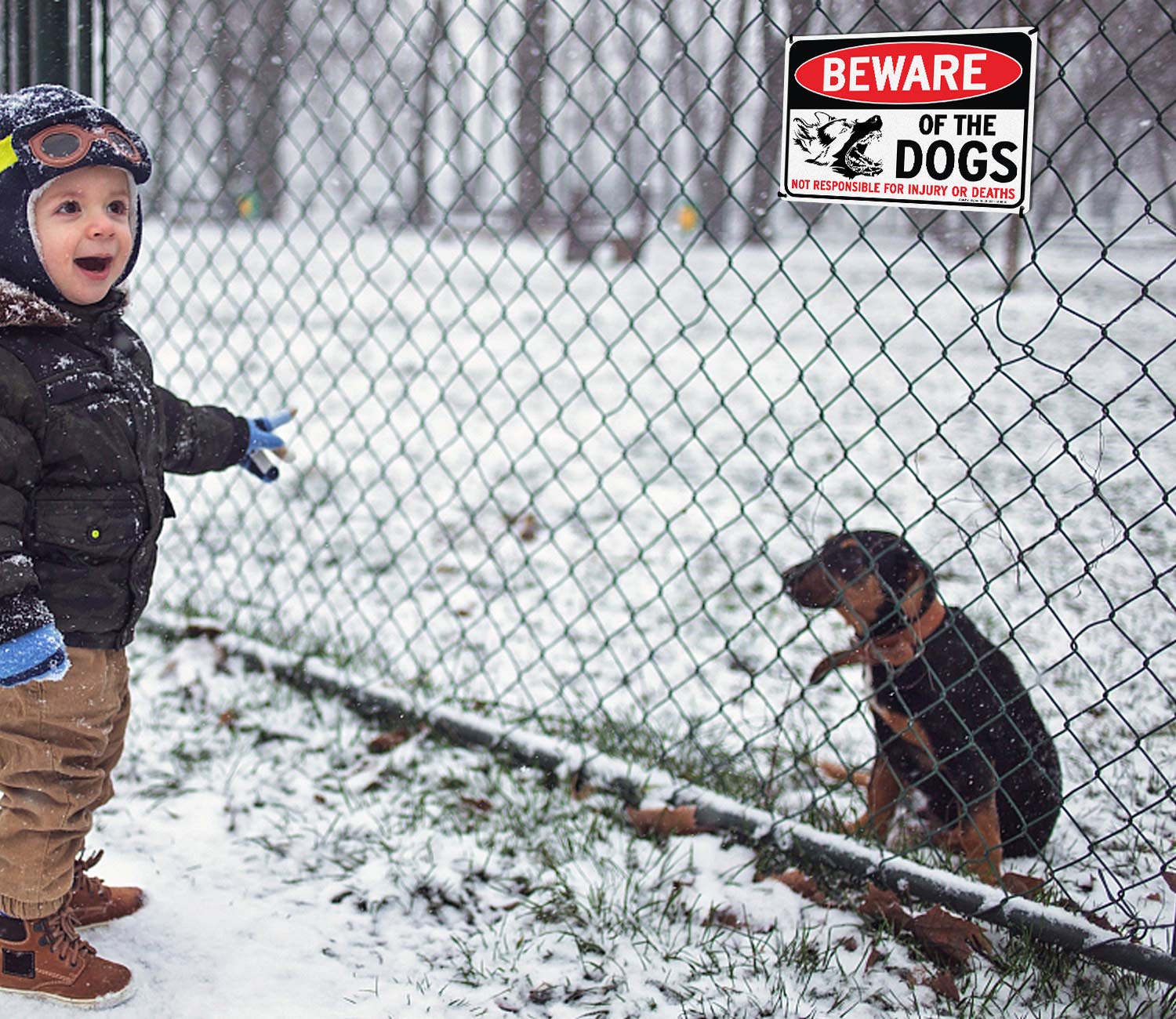 Beware of Dog Sign Not Responsible for Injury or Death,10x7 Inch Rust 