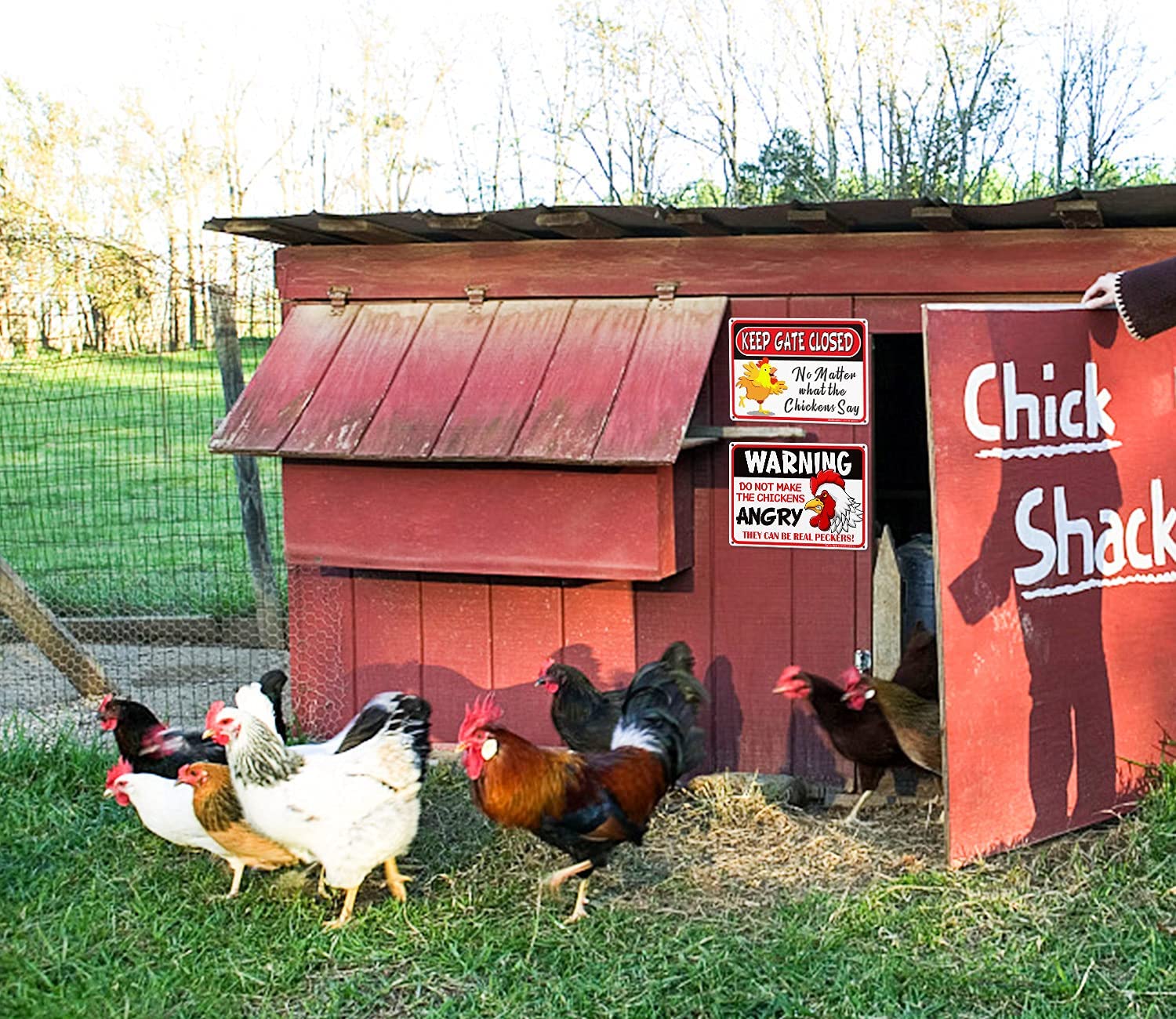 Chicken Sign, Warning Sign Do Not Make The Chickens Angry, Chicken Coop Signs, 8 x 12 Inch Rust Free Aluminum Metal Chicken Decor, Reflective,Weather/Fade Resistant, Easy Mounting, Indoor/Outdoor Use