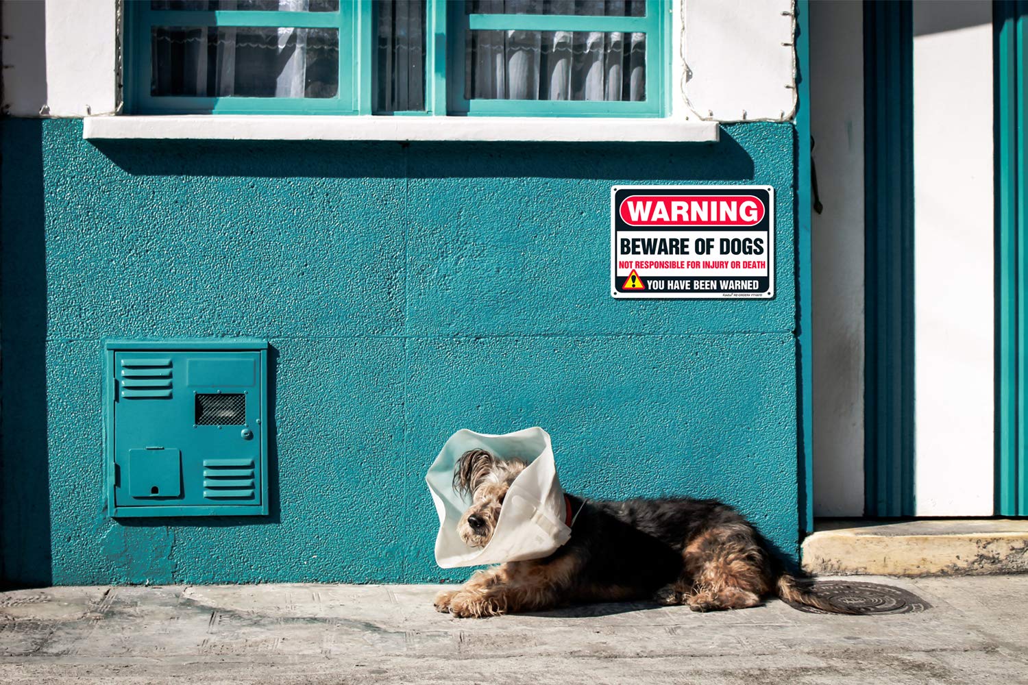 Beware of Dog Sign Not Responsible for Injury or Death,10x7 Inch Rust Free Aluminum Metal Sign, Reflective, Fade Resistant,Weather Resistant, Easy to Mount