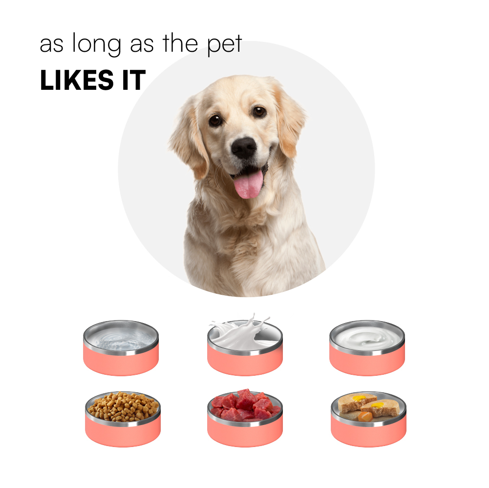Stainless steel Pet bowl