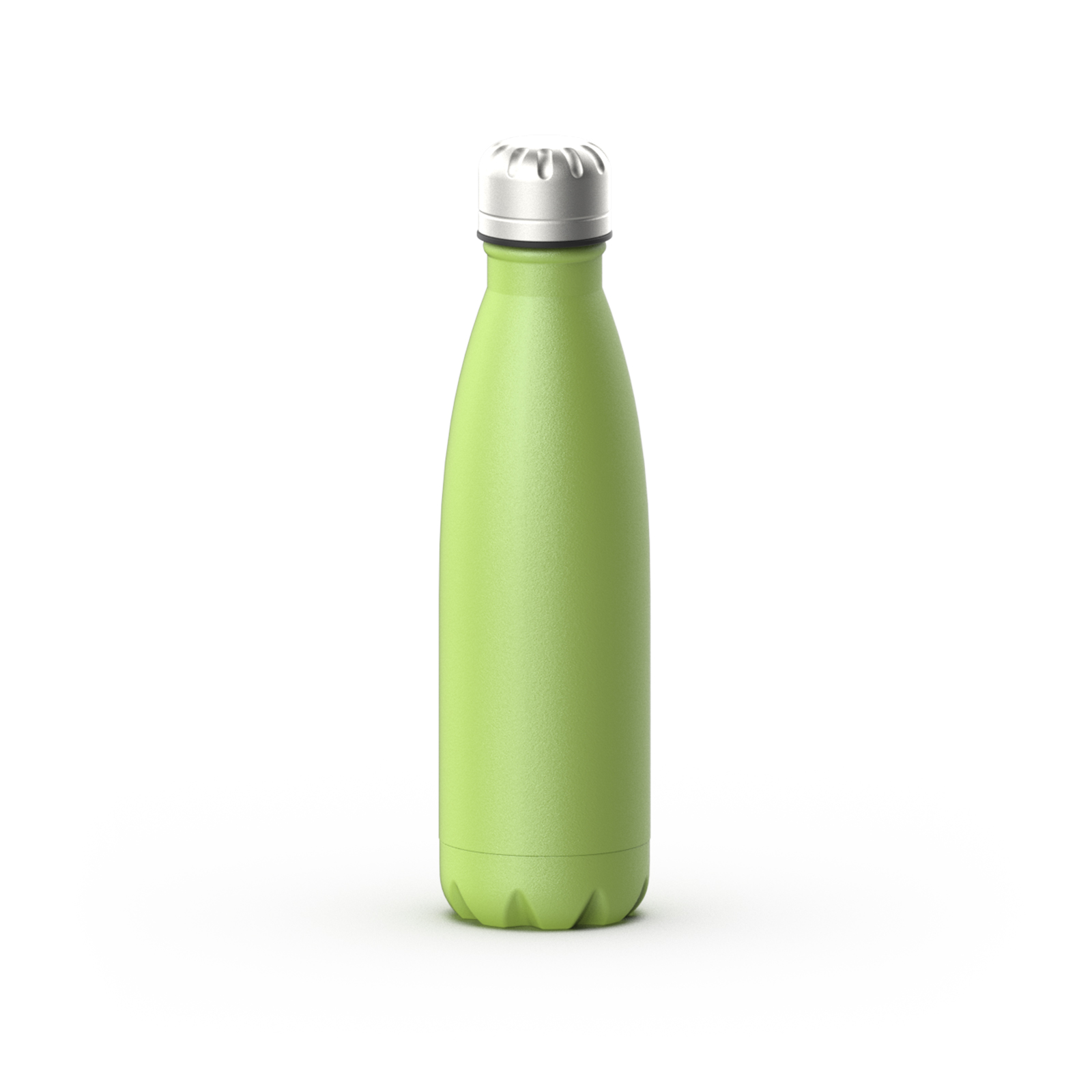 Stainless steel cola water bottle Type A