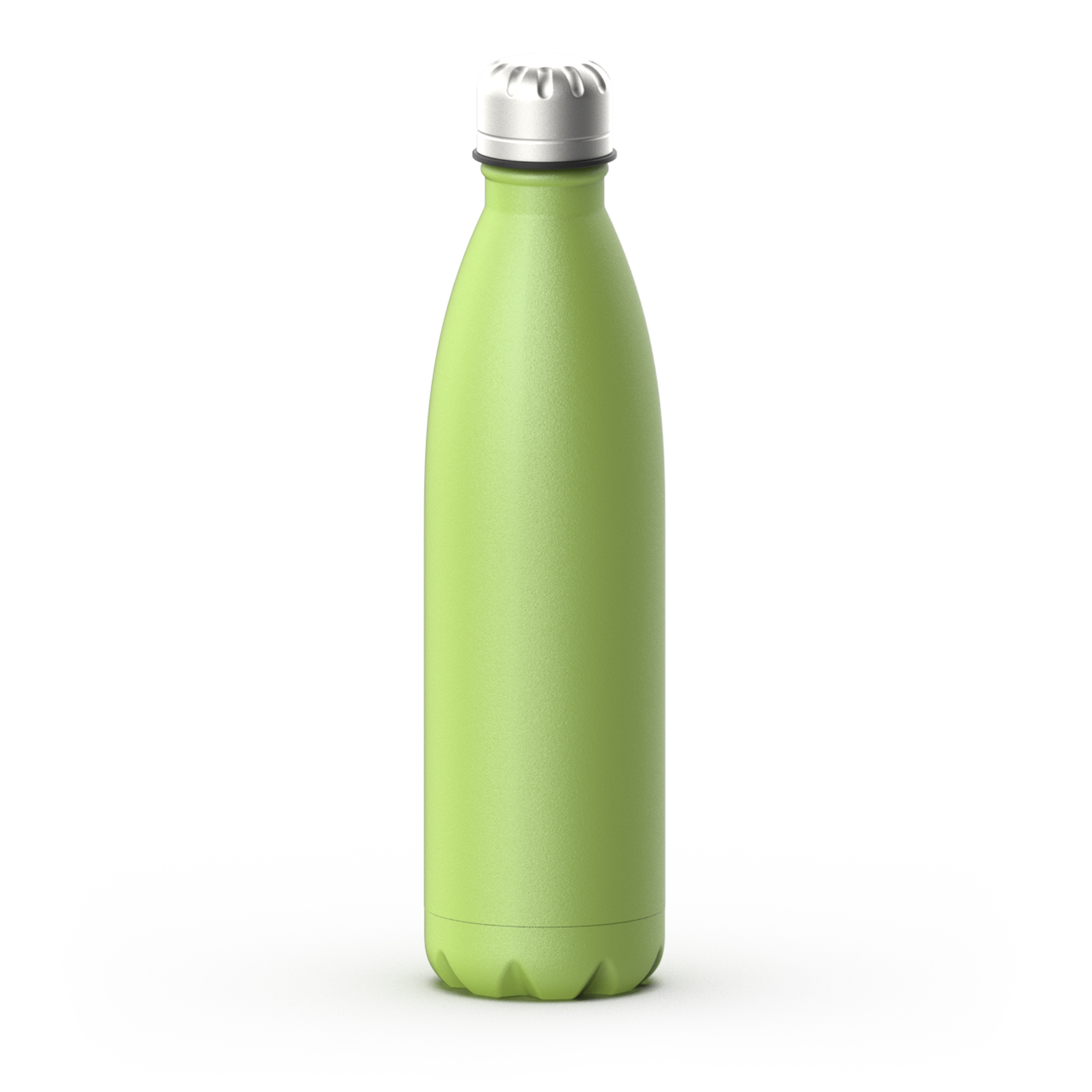 Stainless steel cola water bottle Type A