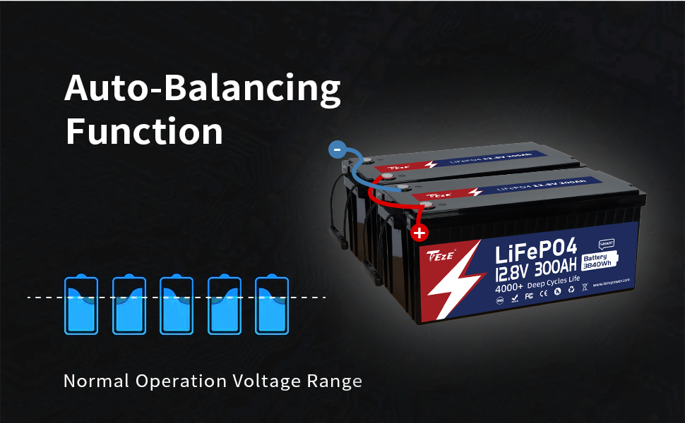 12V Bluetooth LiFePO4 Deep Cycle Lithium Battery, Built-in Daly BMS