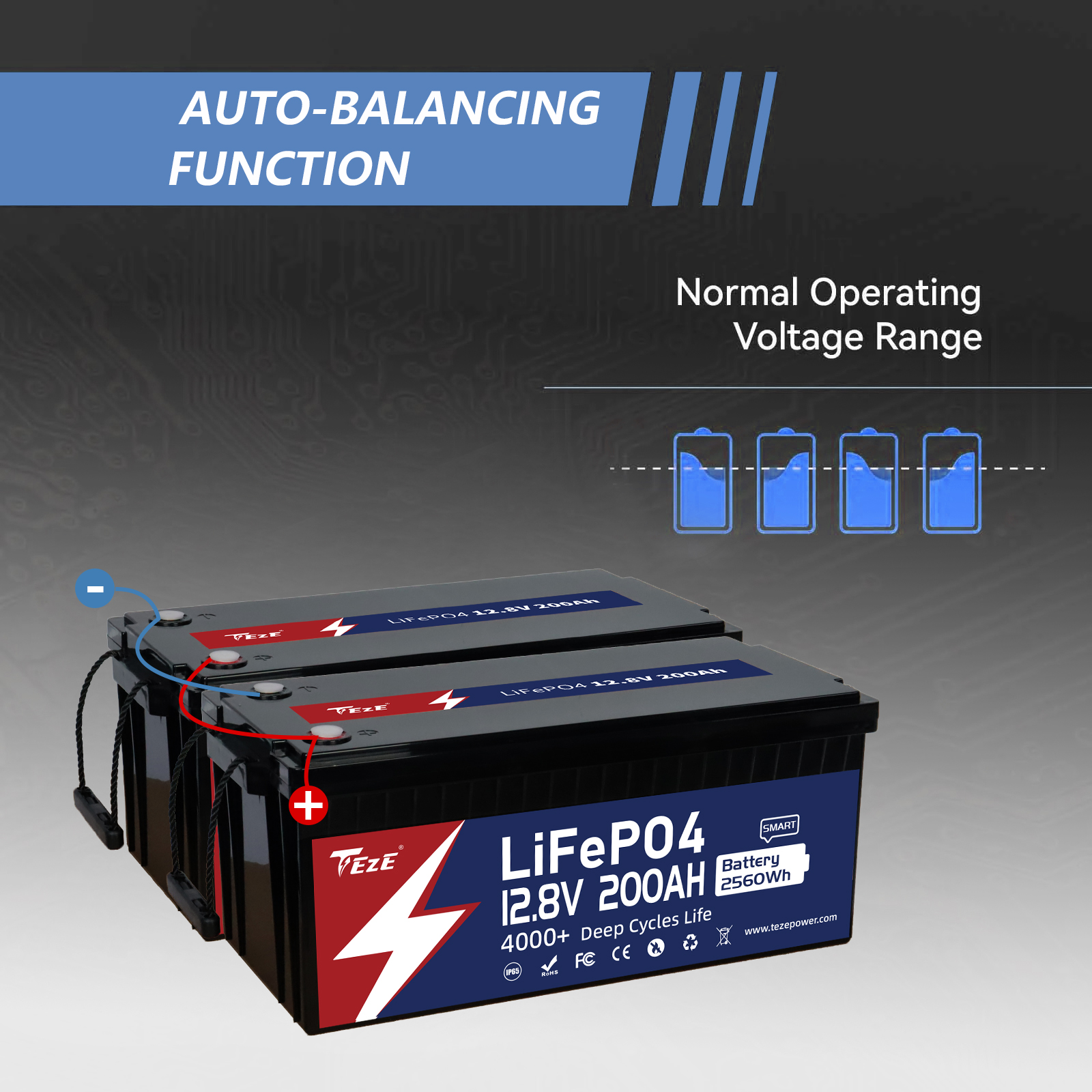 12V200Ah Lithium-Ion Batteries LiFePO4 Battery Built-in 200A Daly BMS