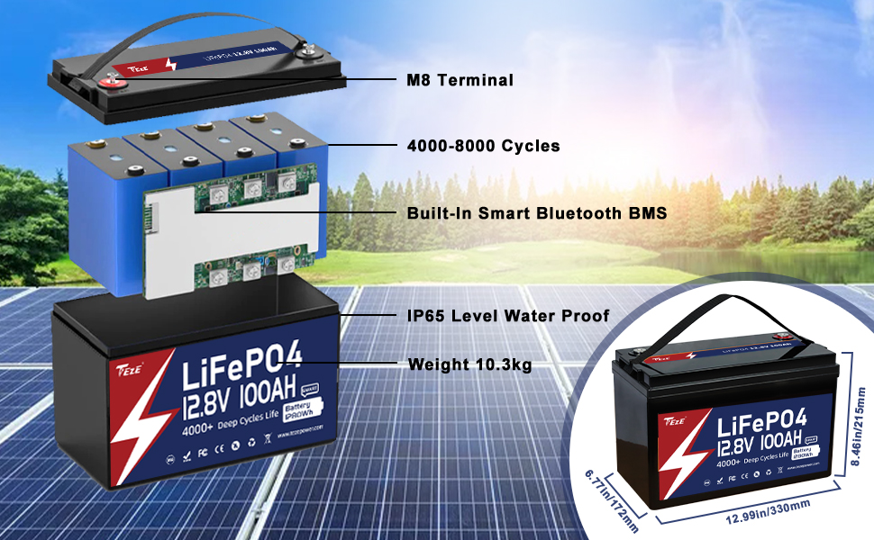 12V 100Ah LiFePO4 Lithium Battery with Bluetooth APP Built-in Smart 100A  BMS for Truck, RV, Solar, Trolling Motor