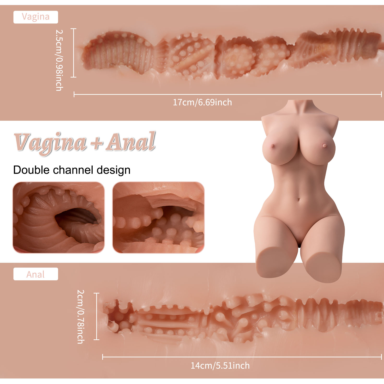 Erica 2.0 torso sex doll internal canal textures and dimensions. Vagina length 17cm, diameter 2.5cm; anal length 14cm, diameter 2cm. Text reads 'Vagina + Anal Double channel design'.